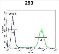 Invitrogen PCDH17 Polyclonal Antibody 400 &mu;L; Unconjugated:Antibodies,