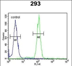 Invitrogen&trade;&nbsp;SLC51A Polyclonal Antibody