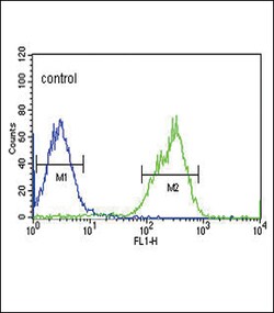 Invitrogen MAP4K3 Polyclonal Antibody 400 &mu;L; Unconjugated:Antibodies,