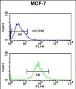 Invitrogen AIM2 Polyclonal Antibody 400 &mu;L; Unconjugated:Antibodies,