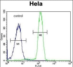 Invitrogen SP5 Polyclonal Antibody 400 &mu;L; Unconjugated:Antibodies,