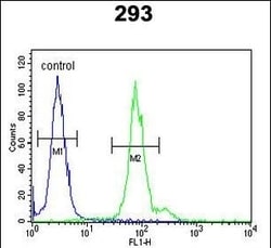 Invitrogen&trade;&nbsp;ID4 Polyclonal Antibody