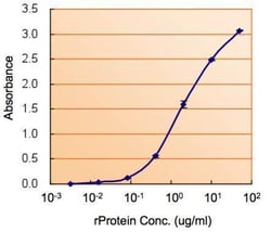 Invitrogen ALDH2 Polyclonal Antibody 100 &mu;L; Unconjugated:Antibodies,