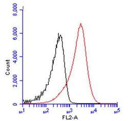 Invitrogen CD19 Polyclonal Antibody 100 &mu;L; Unconjugated:Antibodies,