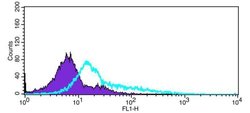 Invitrogen CD180 Polyclonal Antibody 100 &mu;L; Unconjugated:Antibodies,