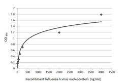 Invitrogen Influenza A NP Polyclonal Antibody 100 &mu;L; Unconjugated:Antibodies,