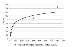 Invitrogen Influenza A NP Polyclonal Antibody 100 &mu;L; Unconjugated:Antibodies,