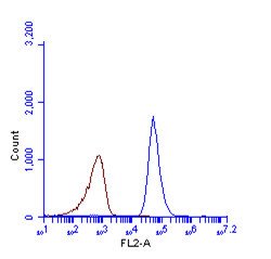 Invitrogen LC3B Polyclonal Antibody 100 &mu;L; Unconjugated:Antibodies,