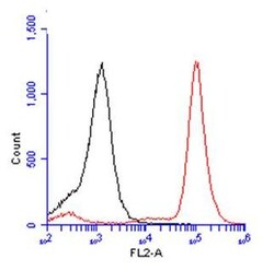 Invitrogen BrdU Polyclonal Antibody 100 &mu;L; Unconjugated:Anticorps,
