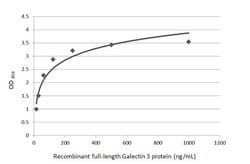Invitrogen Galectin 3 Polyclonal Antibody 100 &mu;L; Unconjugated:Antibodies,