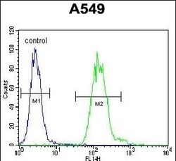 Invitrogen EAP2 Polyclonal Antibody 400 &mu;L | Buy Online | Invitrogen&trade; | Fisher Scientific