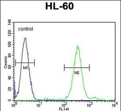 Invitrogen CNIH2 Polyclonal Antibody 400 &mu;L; Unconjugated:Antibodies,