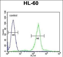Invitrogen C1QC Polyclonal Antibody 400 μL; Unconjugated:Antibodies,
