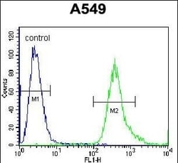 Invitrogen SLC25A6 Polyclonal Antibody 400 &mu;L; Unconjugated:Antibodies,