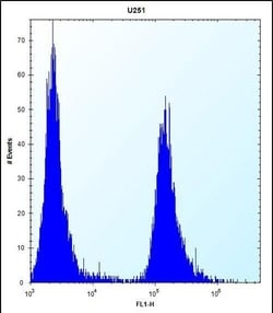Invitrogen PAI1 Polyclonal Antibody 400 &mu;L; Unconjugated:Antibodies,