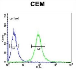 Invitrogen CD46 Polyclonal Antibody 400 μL; Unconjugated:Antibodies,
