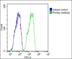 Invitrogen Transthyretin Polyclonal Antibody 400 &mu;L; Unconjugated:Antibodies,