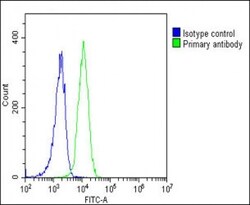 Invitrogen SCAP Polyclonal Antibody 400 &mu;L; Unconjugated:Antibodies,