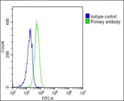 Invitrogen SCAP Polyclonal Antibody 400 &mu;L; Unconjugated:Antibodies,