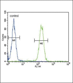 Invitrogen alpha-ENaC Polyclonal Antibody 400 &mu;L; Unconjugated:Antibodies,