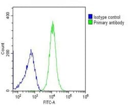 Invitrogen alpha-ENaC Polyclonal Antibody 400 &mu;L; Unconjugated:Antibodies,