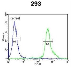 Invitrogen p73 Polyclonal Antibody 400 &mu;L; Unconjugated:Antibodies,