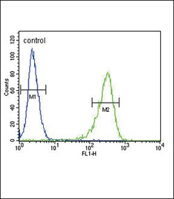 Invitrogen OAT Polyclonal Antibody 400 &mu;L; Unconjugated:Antibodies,