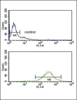 Invitrogen GOT2 Polyclonal Antibody 400 &mu;L; Unconjugated:Antibodies,