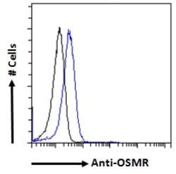 Invitrogen OSMR Polyclonal Antibody 100 &mu;g; Unconjugated:Anticuerpos