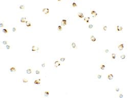 Invitrogen CD133 Polyclonal Antibody 100 &mu;g; Unconjugated:Antibodies,