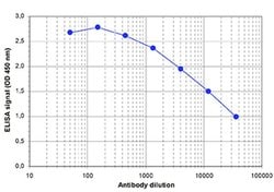 Invitrogen MLL4 Polyclonal Antibody 100 &mu;L; Unconjugated:Antibodies,