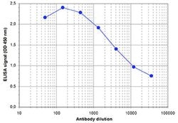 Invitrogen SETD1B Polyclonal Antibody 100 &mu;L; Unconjugated:Antibodies,