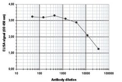 Invitrogen H4ac pan-acetyl (K5,K8,K12,K16) Polyclonal Antibody 50 &mu;g;