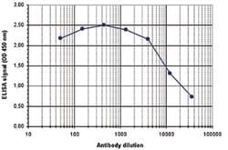 Invitrogen H3K56ac Polyclonal Antibody 50 &mu;g | Buy Online | Invitrogen&trade; | Fisher Scientific