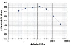 Invitrogen H2BK15ac Polyclonal Antibody 50 &mu;g; Unconjugated:Antibodies,
