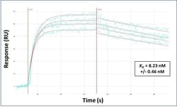 Invitrogen MTTP Polyclonal Antibody 100 &mu;L; Unconjugated:Antibodies,