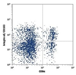 Invitrogen CD103 Polyclonal Antibody, Alexa Fluor 488 100 Tests; Alexa