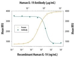 Invitrogen IL-19 Polyclonal Antibody 100 &mu;g; Unconjugated:Antibodies,