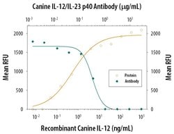 Invitrogen IL-12/IL-23 p40 Polyclonal Antibody 100 &mu;g; Unconjugated:Antibodies,