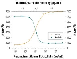 Invitrogen betacellulin Polyclonal Antibody 100 &mu;g | Buy Online | Invitrogen&trade; | Fisher Scientific