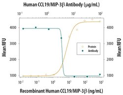 Invitrogen MIP-3 beta Polyclonal Antibody 100 &mu;g | Buy Online | Invitrogen&trade; | Fisher Scientific