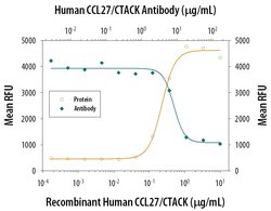 Invitrogen CCL27 Polyclonal Antibody 100 &mu;g; Unconjugated:Antibodies,