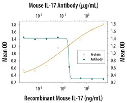 Invitrogen IL-17A Polyclonal Antibody 100 &mu;g; Unconjugated:Antibodies,