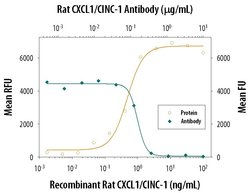 Invitrogen CXCL1 Polyclonal Antibody 100 &mu;g; Unconjugated:Antibodies,