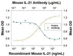Invitrogen IL-21 Polyclonal Antibody 100 &mu;g; Unconjugated:Antibodies,