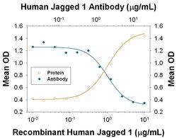 Invitrogen Jagged1 Polyclonal Antibody 100 &mu;g; Unconjugated:Antibodies,