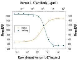 Invitrogen IL-27 Polyclonal Antibody 100 &mu;g; Unconjugated:Antibodies,