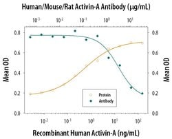 Invitrogen Activin A Polyclonal Antibody 100 &mu;g; Unconjugated:Antibodies,