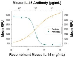 IL-15 Polyclonal Antibody:Antibodies, Polyclonal