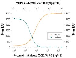 Invitrogen CXCL2 Polyclonal Antibody 100 &mu;g; Unconjugated:Antibodies,